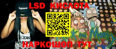 прущие грибы Будённовск